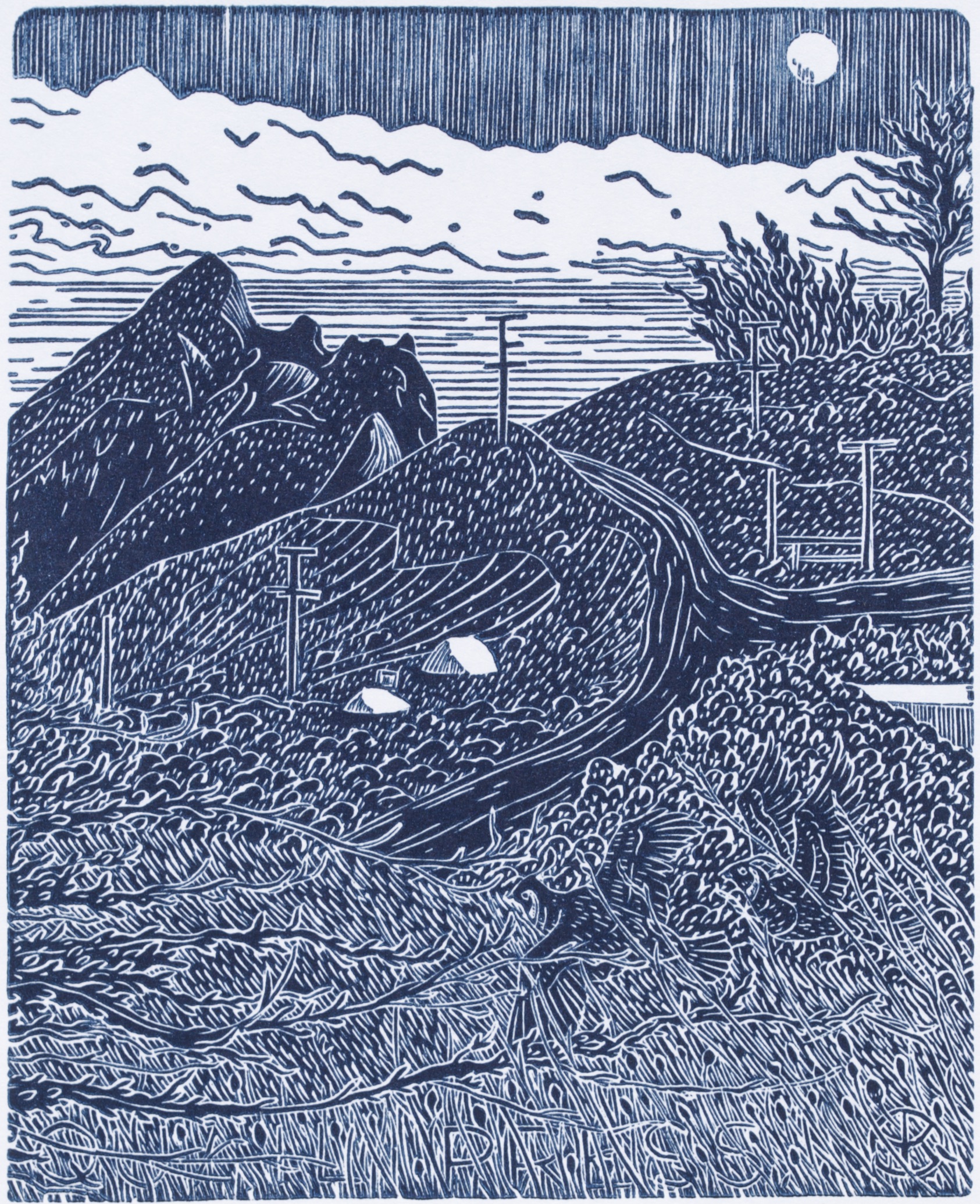 Single-Color — Tom Killion